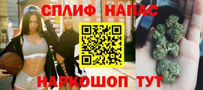 гидра Бузулук